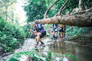 BIB: 
                            <button type="button" onclick="openModal(25443638)" class="btn btn-primary btn-sm float-right btn-popup" data-toggle="modal" data-target=".modal-high-quality">
                        <i class="fas fa-shopping-cart"></i> Add to Cart
                    </button>
                                            <button type="button" onclick="isThisMe(25443638, true)" class="btn btn-success btn-sm float-right btn-popup btn-isme hidden" data-toggle="tooltip" data-placement="bottom" title="นี่คือรูปของคุณใช่ไหม คลิกที่นี่เพื่อเอาเข้าอัลบั้ม">
                        <i class="fas fa-plus"></i> Add to album
                    </button>
                    <button type="button" onclick="isThisMe(25443638, false)" class="btn btn-warning btn-sm float-right btn-popup btn-isnotme hidden">
                        <i class="fas fa-ban"></i> Remove from album
                    </button>